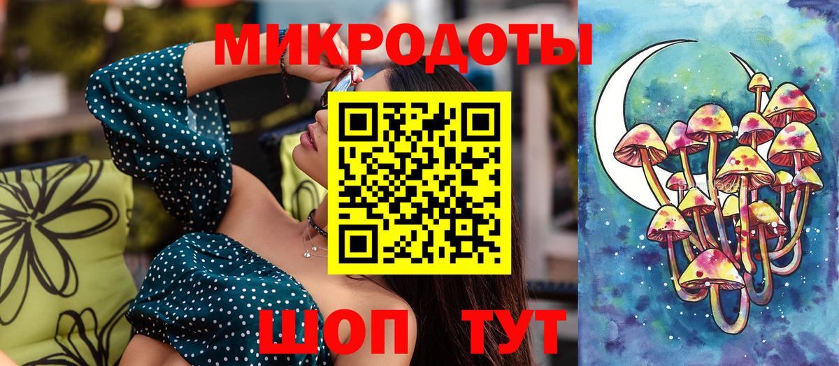 Галлюциногенные грибы мухоморы  Вход с VPN  Большой Камень 