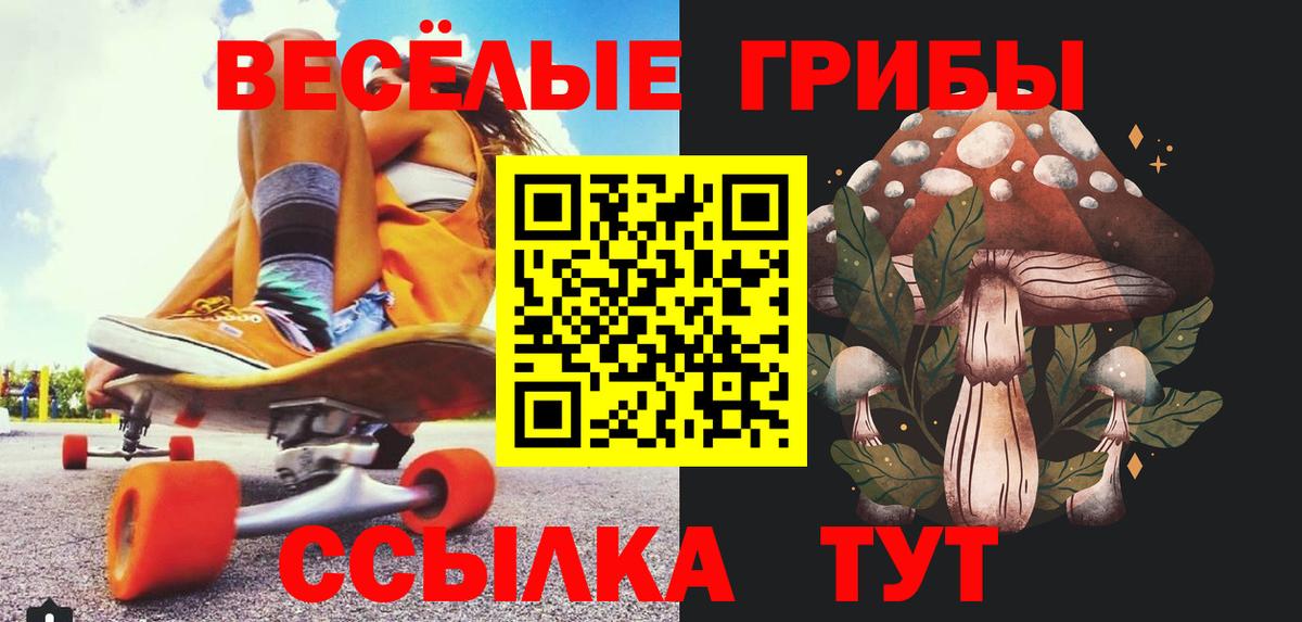 Псилоцибиновые грибы MAGIC MUSHROOMS Большой Камень